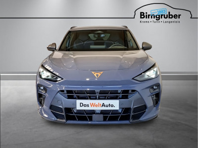 Cupra Terramar Gebrauchtwagen