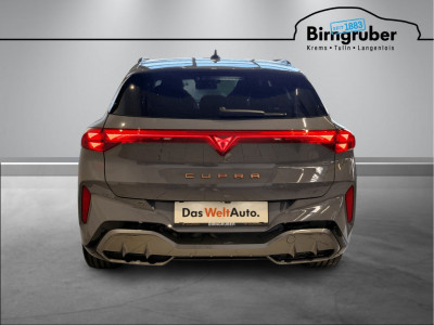 Cupra Terramar Gebrauchtwagen