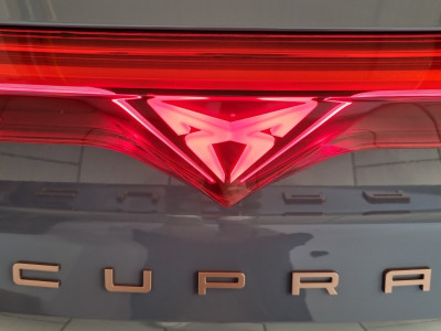 Cupra Terramar Gebrauchtwagen