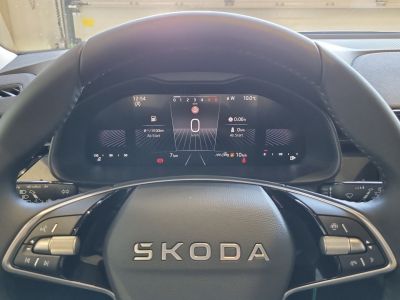 Skoda Kamiq Gebrauchtwagen