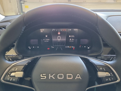 Skoda Kamiq Gebrauchtwagen