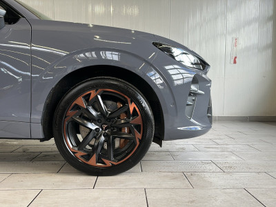 Cupra Terramar Gebrauchtwagen