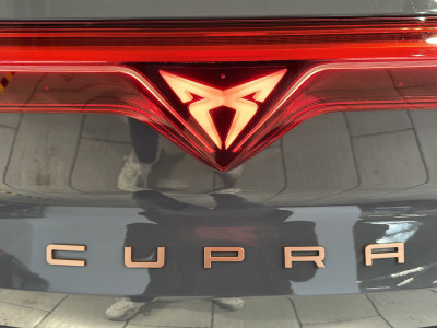 Cupra Terramar Gebrauchtwagen