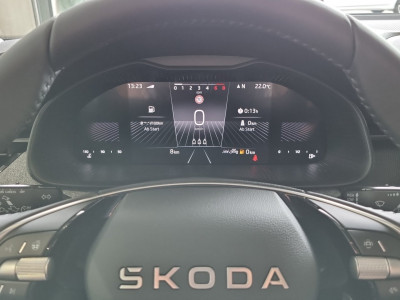 Skoda Kamiq Gebrauchtwagen