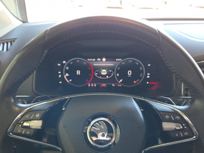 Skoda Karoq Gebrauchtwagen