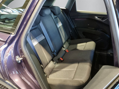 Audi Q4 e-tron Gebrauchtwagen