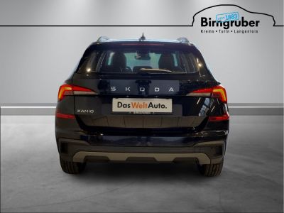 Skoda Kamiq Gebrauchtwagen Skoda Kamiq Gebrauchtwagen