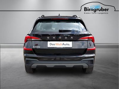 Skoda Kamiq Gebrauchtwagen Skoda Kamiq Gebrauchtwagen
