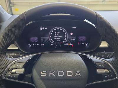 Skoda Fabia Gebrauchtwagen Skoda Fabia Gebrauchtwagen