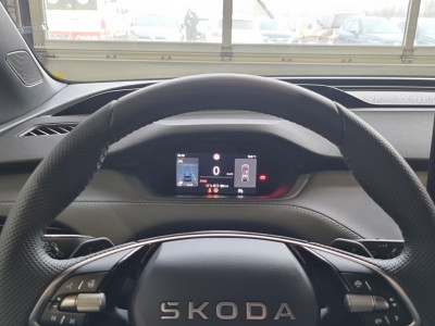 Skoda Enyaq Gebrauchtwagen