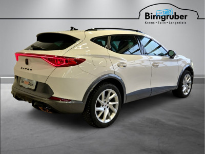 Cupra Formentor Gebrauchtwagen Cupra Formentor Gebrauchtwagen