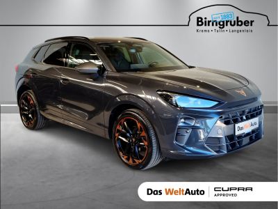 Cupra Terramar Gebrauchtwagen