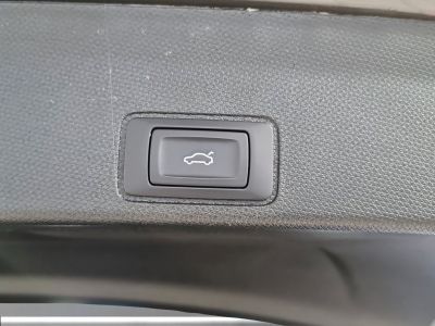 Cupra Terramar Gebrauchtwagen Cupra Terramar Gebrauchtwagen