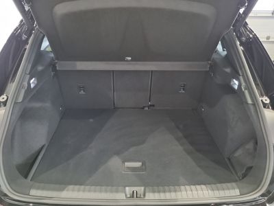Cupra Terramar Gebrauchtwagen