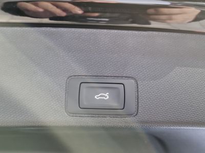 Cupra Terramar Gebrauchtwagen