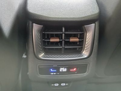 Cupra Terramar Gebrauchtwagen