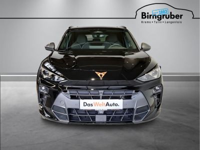 Cupra Terramar Gebrauchtwagen
