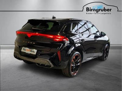 Cupra Terramar Gebrauchtwagen