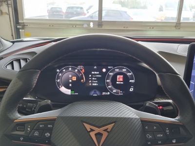 Cupra Terramar Gebrauchtwagen