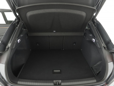 Cupra Terramar Gebrauchtwagen