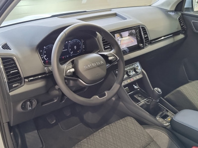 Skoda Karoq Gebrauchtwagen