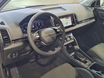 Skoda Karoq Gebrauchtwagen