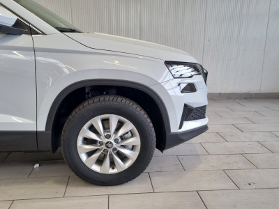 Skoda Karoq Gebrauchtwagen