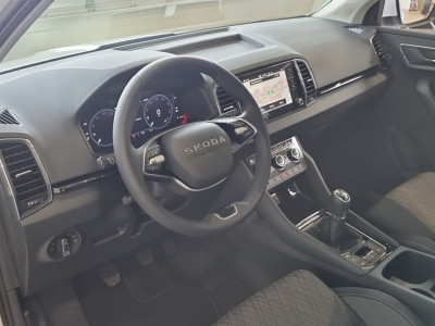 Skoda Karoq Gebrauchtwagen