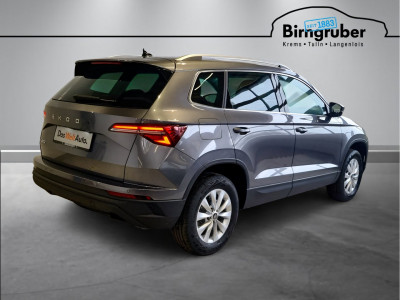 Skoda Karoq Gebrauchtwagen