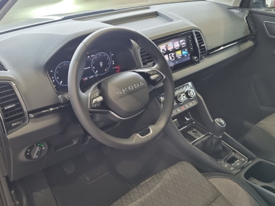 Skoda Karoq Gebrauchtwagen