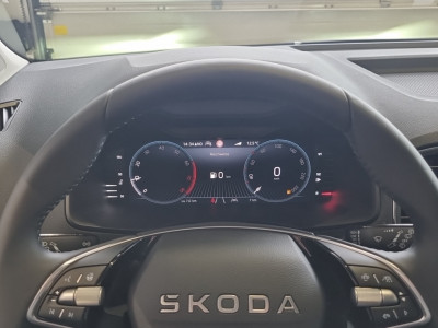 Skoda Karoq Gebrauchtwagen