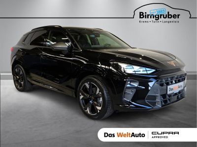 Cupra Terramar Gebrauchtwagen