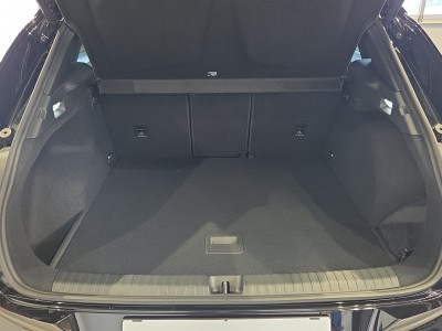 Cupra Terramar Gebrauchtwagen