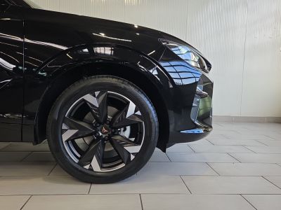 Cupra Terramar Gebrauchtwagen Cupra Terramar Gebrauchtwagen