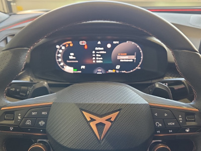 Cupra Terramar Gebrauchtwagen