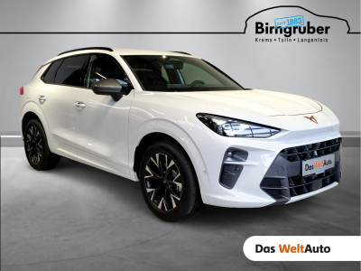 Cupra Terramar Gebrauchtwagen Cupra Terramar Gebrauchtwagen