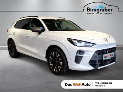 Cupra Terramar Gebrauchtwagen
