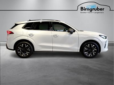 Cupra Terramar Gebrauchtwagen Cupra Terramar Gebrauchtwagen