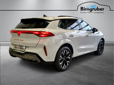 Cupra Terramar Gebrauchtwagen Cupra Terramar Gebrauchtwagen