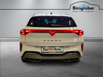 Cupra Terramar Gebrauchtwagen Cupra Terramar Gebrauchtwagen