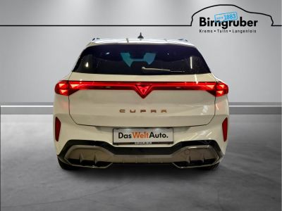 Cupra Terramar Gebrauchtwagen Cupra Terramar Gebrauchtwagen