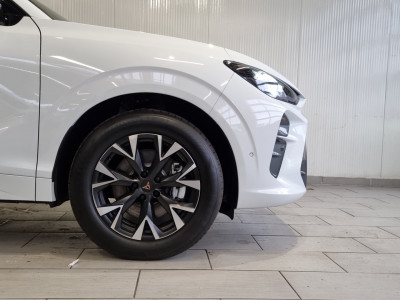 Cupra Terramar Gebrauchtwagen Cupra Terramar Gebrauchtwagen