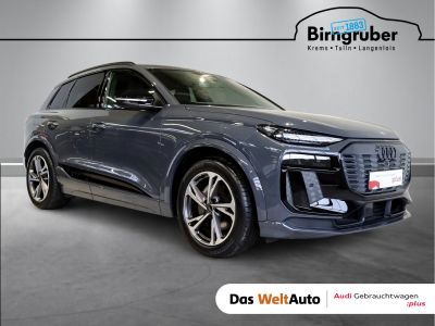 Audi Q6 e-tron Gebrauchtwagen
