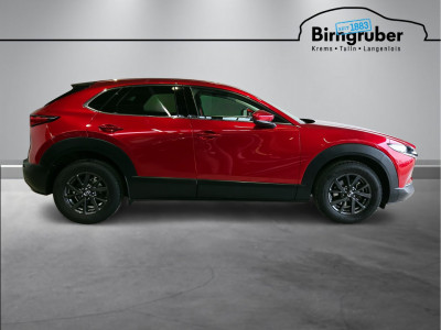 Mazda CX-30 Gebrauchtwagen