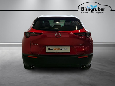 Mazda CX-30 Gebrauchtwagen