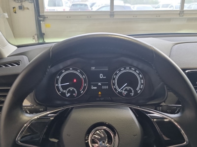 Skoda Kamiq Gebrauchtwagen