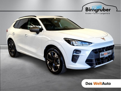 Cupra Terramar Gebrauchtwagen Cupra Terramar Gebrauchtwagen