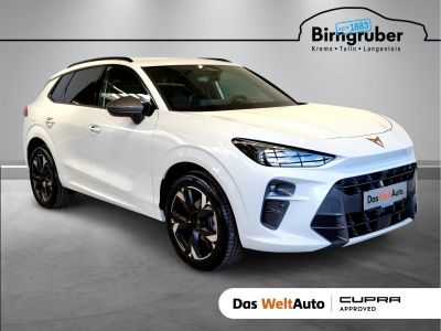Cupra Terramar Gebrauchtwagen