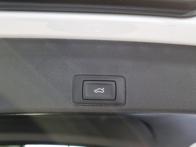 Cupra Terramar Gebrauchtwagen Cupra Terramar Gebrauchtwagen