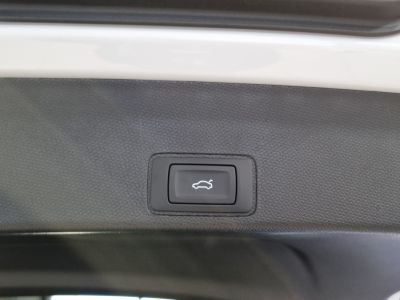 Cupra Terramar Gebrauchtwagen Cupra Terramar Gebrauchtwagen
